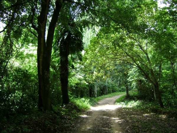 Senderos y cascadas de Macucú