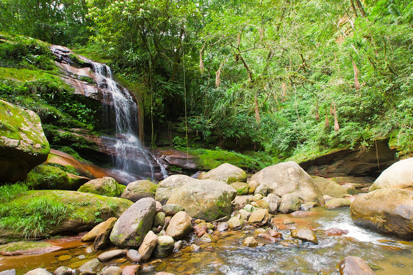 Biodiversidad del Amboró