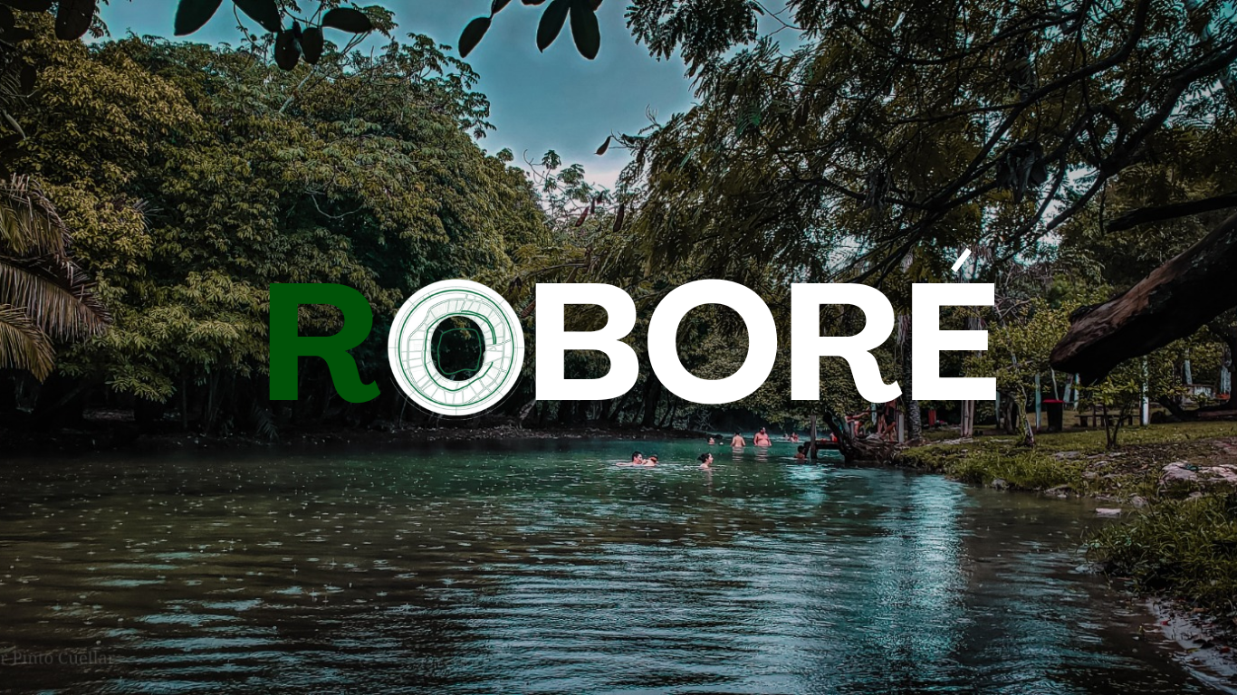 Roboré