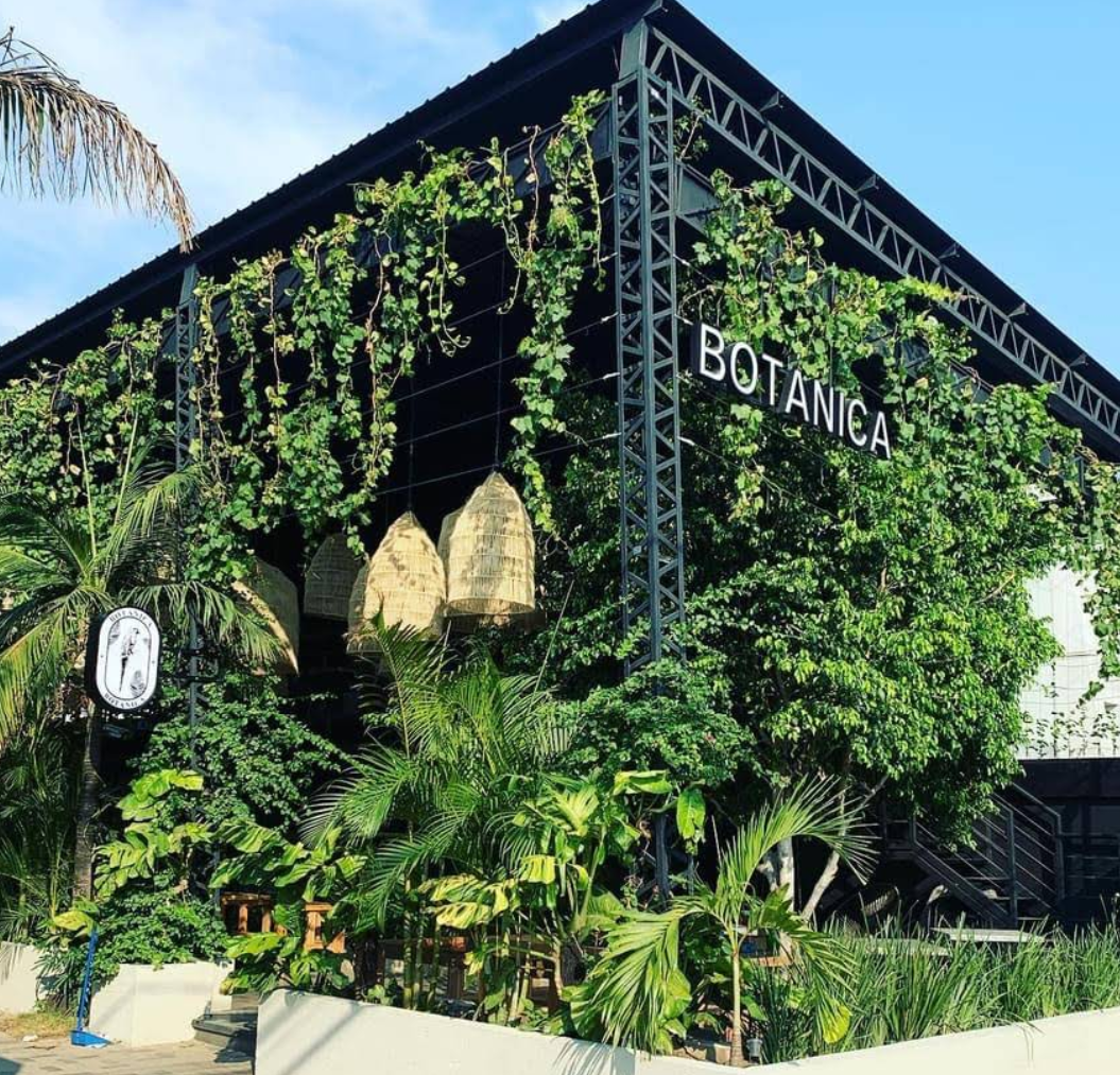 Botánica