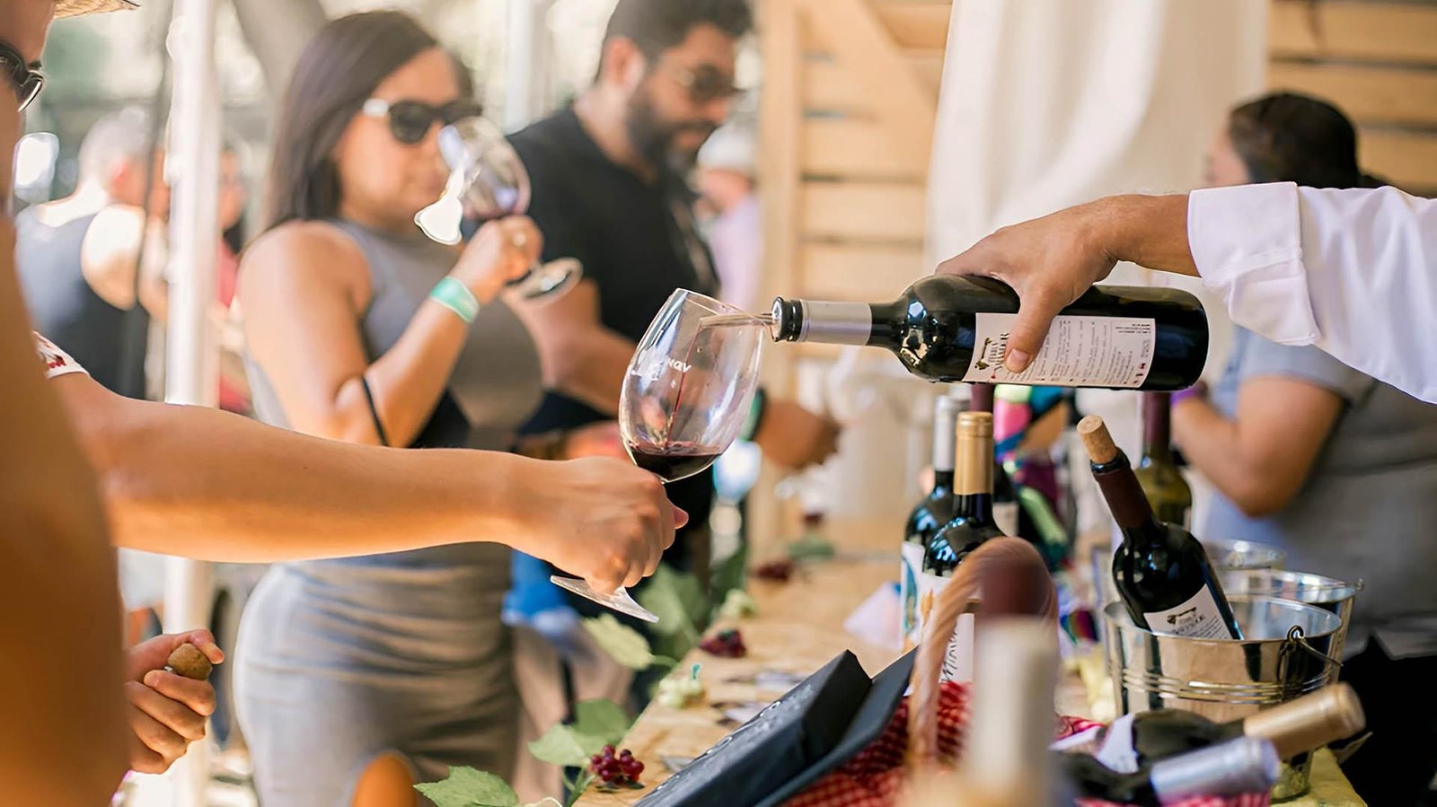 Festival de Vinos y Quesos