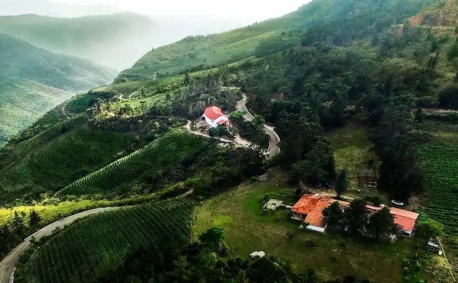Bodegas y Viñedos Landsuá