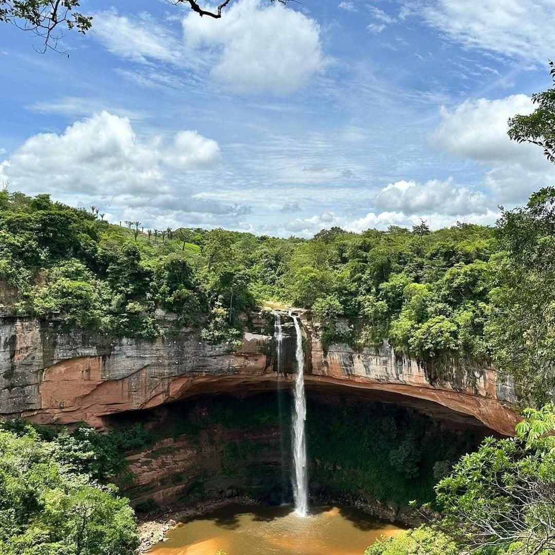 Bosque nuboso del Amboró