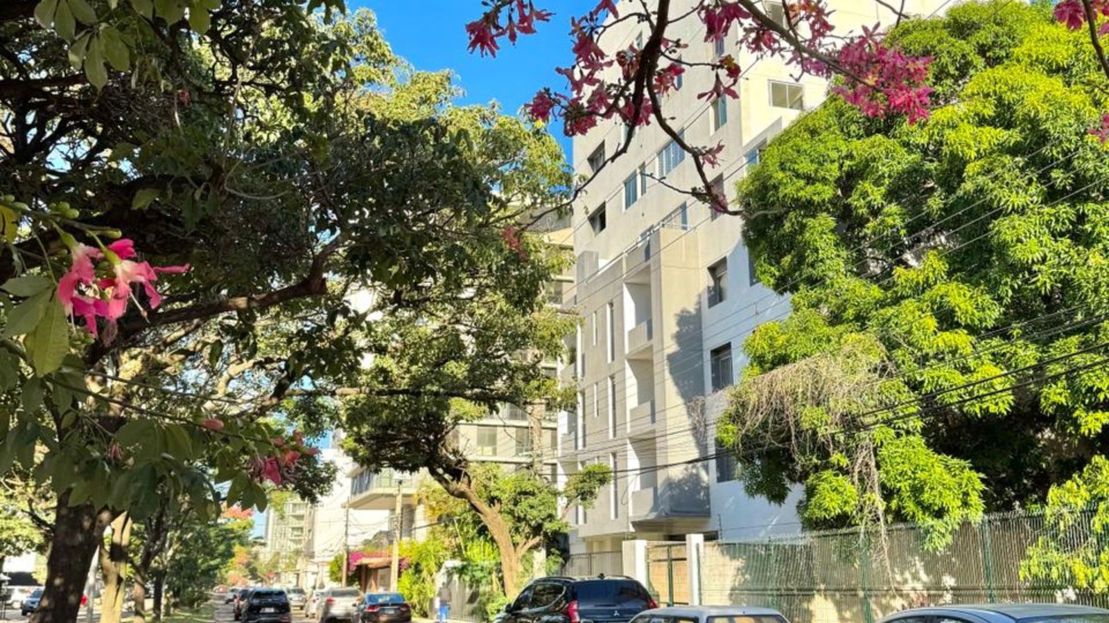 Av. Los Cusis