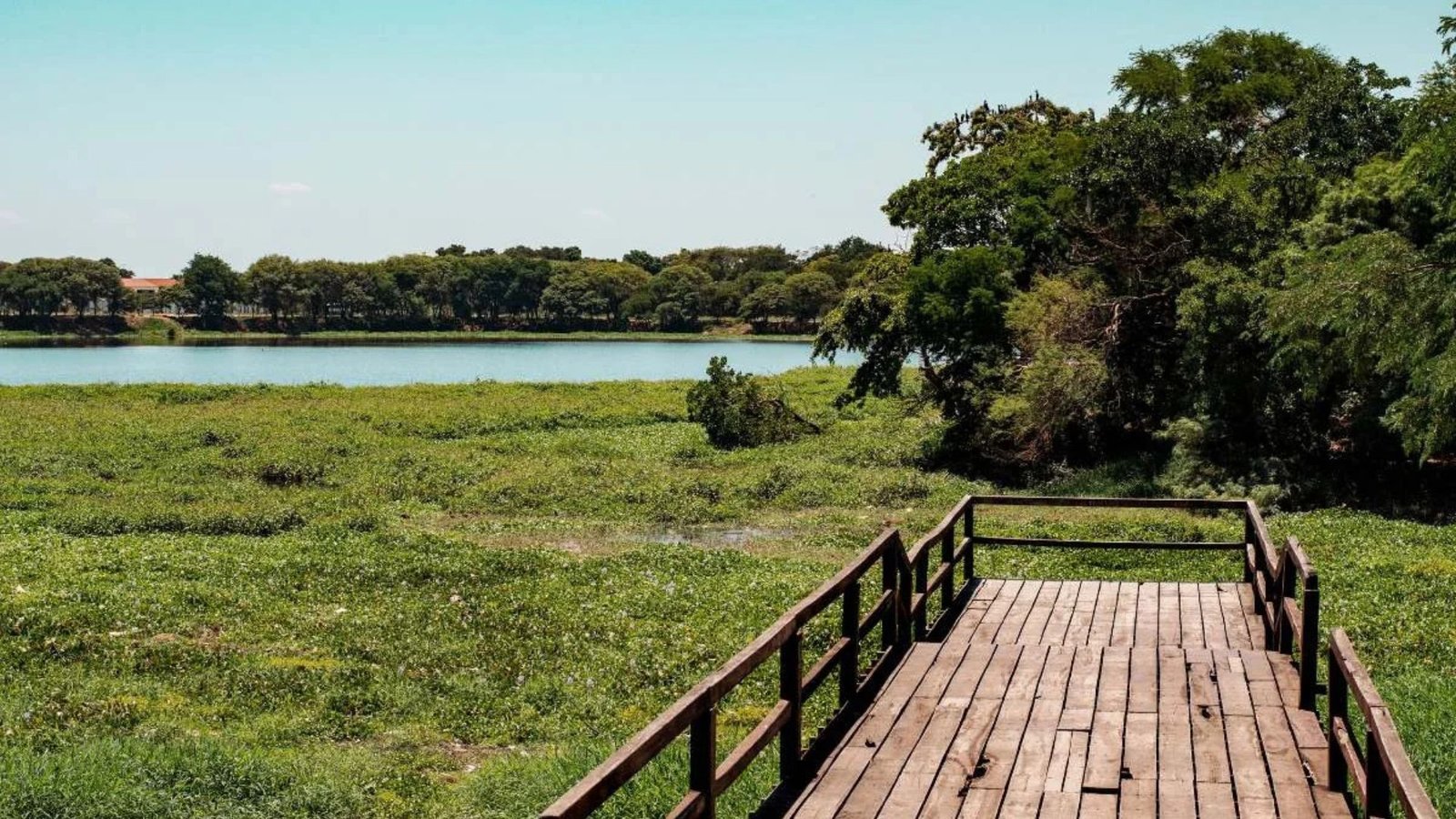 Parque Guapilo