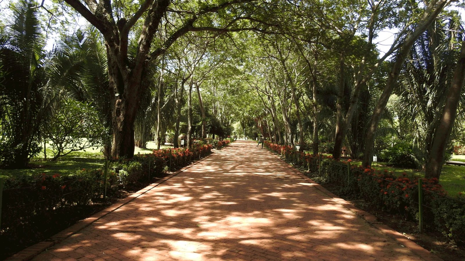Jardín Botánico