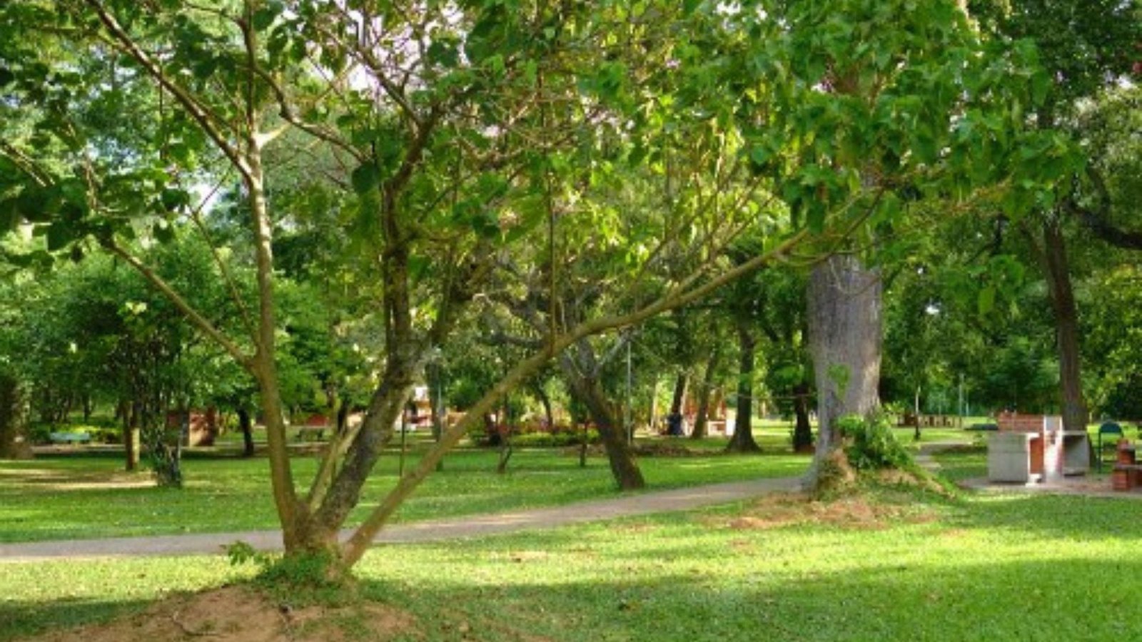 Parque 4 de Mayo