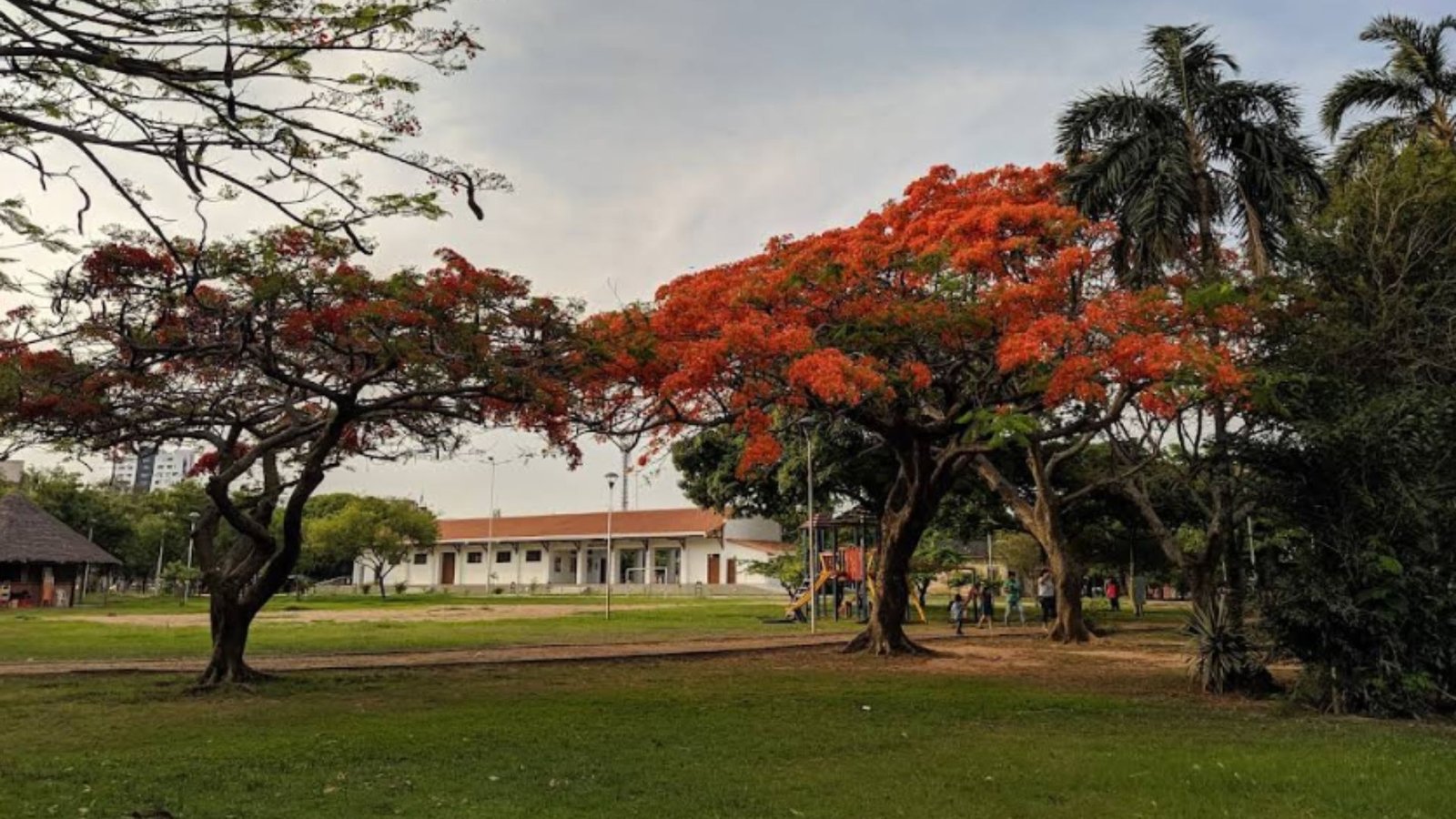 Parque Urbano Central
