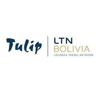 Tulip International