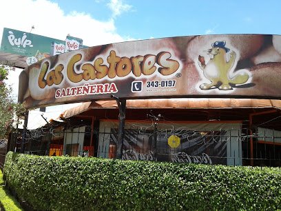Los castores