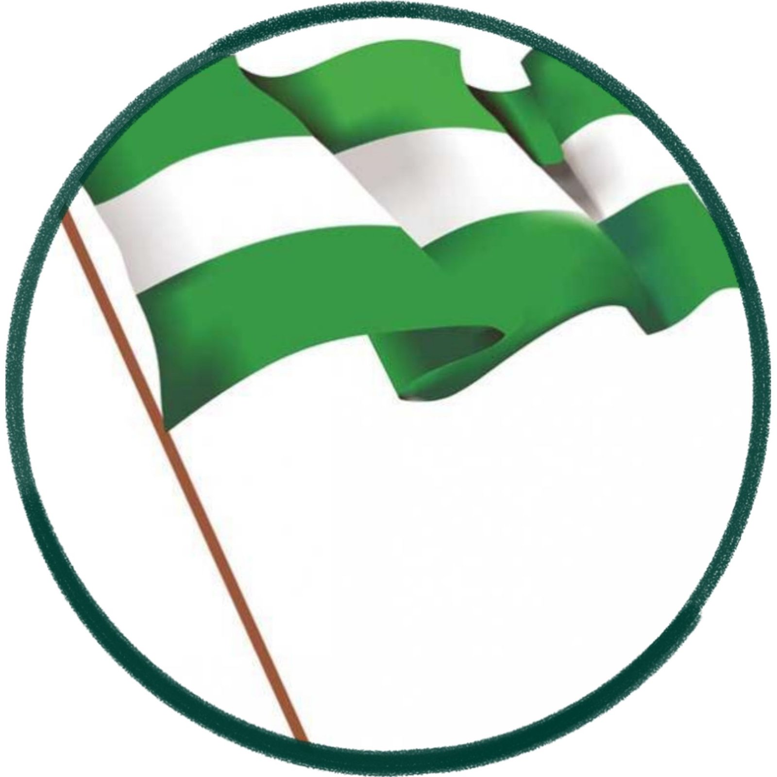 Bandera de Santa Cruz